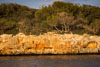 Cala Sa Nau - Beachside Traverse