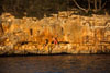 Cala Sa Nau - Beachside Traverse