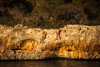 Cala Sa Nau - Beachside Traverse